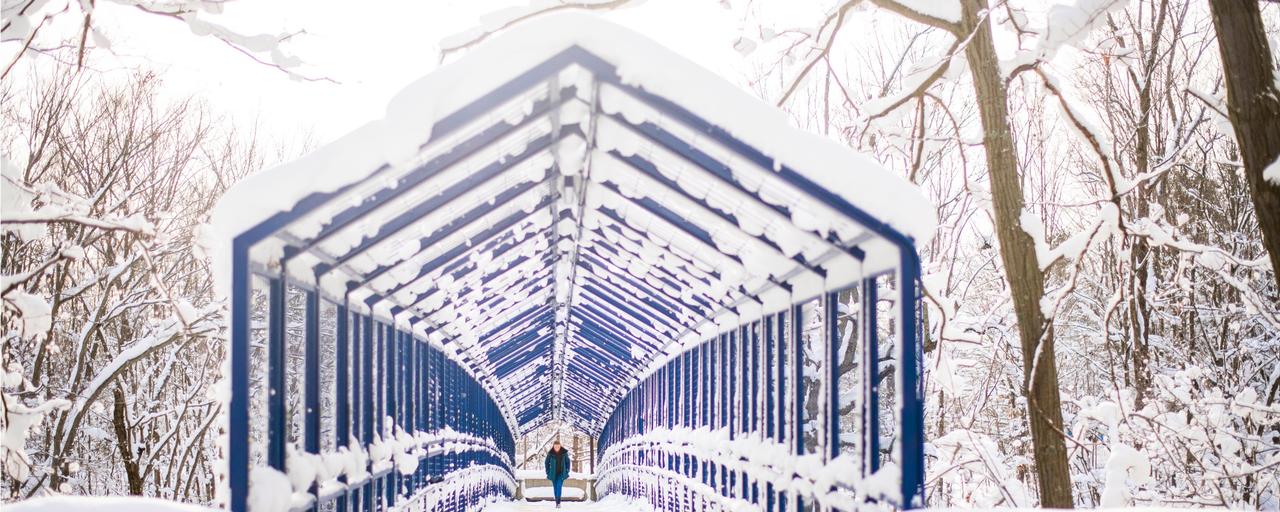 blue bridge covered in snow.